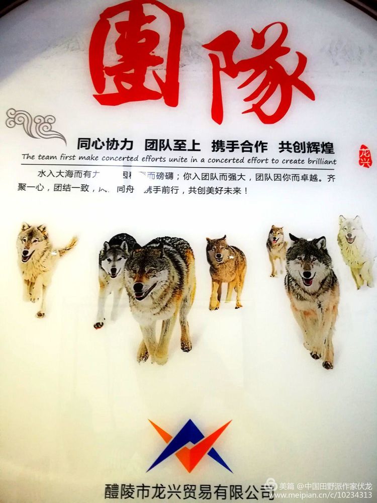 黃鳳全和他的狼性團隊